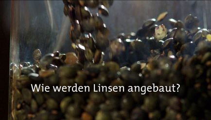 Dieses Video kann von ihrem Browser nicht dargestellt werden.